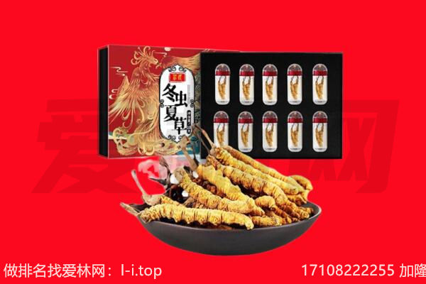 石楼县回收虫草.jpg
